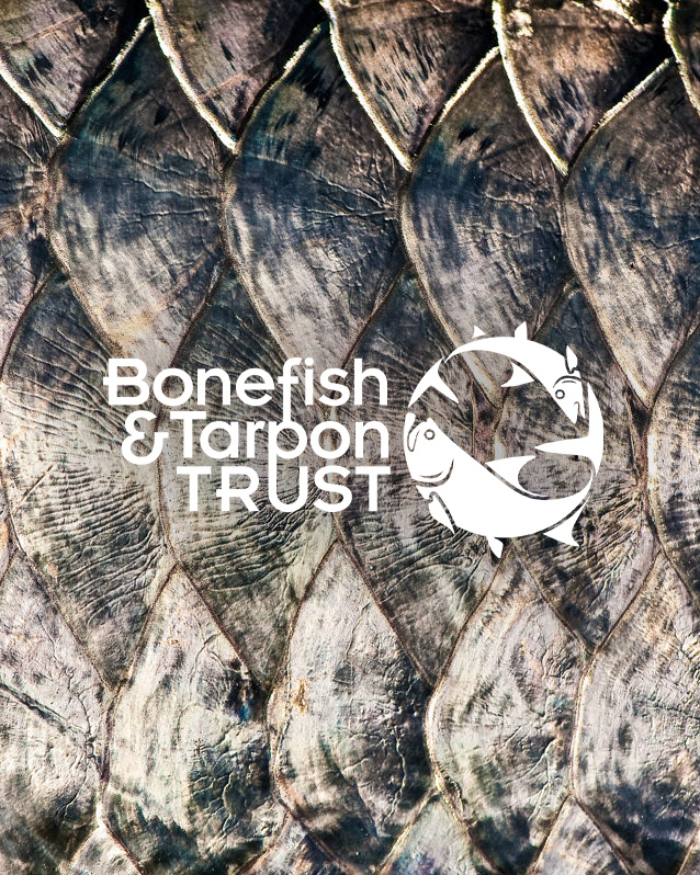 Tarpon scales with BTT logo
